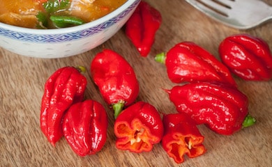 Pepper (Chilli) Hot Patio 'Carolina Reaper' from T&M