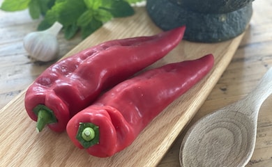 Sweet Pepper 'Lipari' F1 Hybrid from T&M