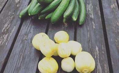 Yellow ball and green straight cucumbers on a table